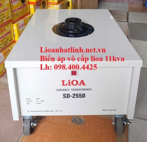 BIẾN ÁP VÔ CẤP LIOA 1 PHA 10KVA - 50A