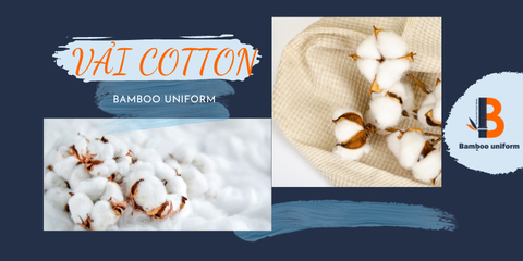 Vải Cotton là gì ? Ứng dụng & Ưu, nhược điểm của chất liệu cotton