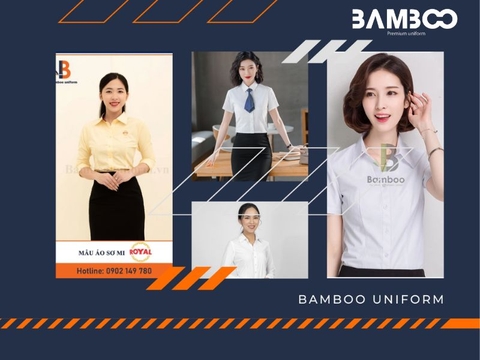 Tổng hợp màu áo đồng phục sơ mi nổi bật, đẹp mắt