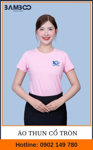 Mẫu Áo Thun Cổ Tròn Team Building Pontech