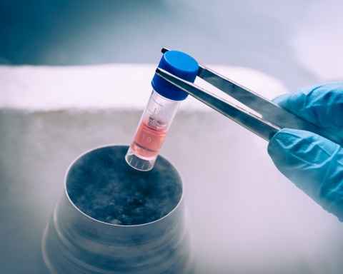 Công nghệ tế bào gốc