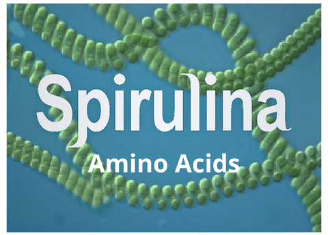 Spirulina Amino Acids (Tảo Xoắn) Trong Mỹ Phẩm Có Tác Dụng Gì?