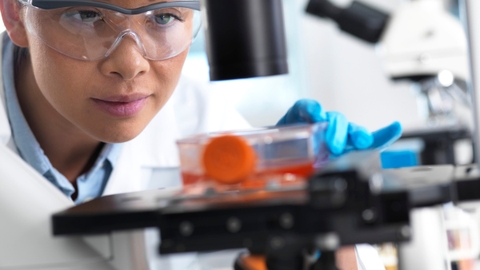 Tế bào gốc là gì? Nguồn gốc & khả năng chữa bệnh của tế bào gốc