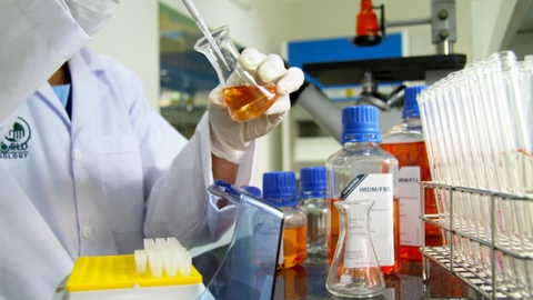 Tuyển dụng Quản lý Lab & Kỹ thuật viên nuôi cấy tế bào động vật (Hết hạn)