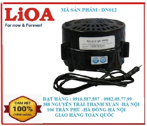 biến áp đổi nguồn 1200va| biến áp lioa dn012