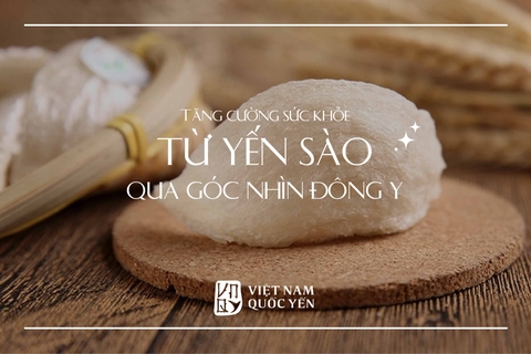 Tăng cường sức khoẻ từ yến sào qua góc nhìn Đông y