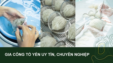 GIA CÔNG TỔ YẾN UY TÍN, CHUYÊN NGHIỆP​