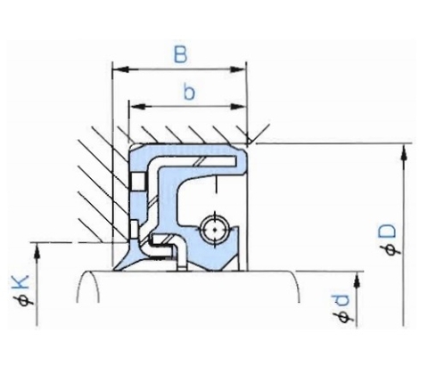 Phốt dầu NOK TCZ