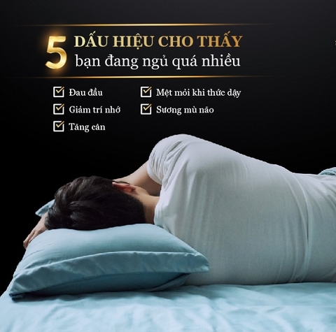 Tác hại của việc ngủ quá nhiều mà bạn có thể chưa biết?