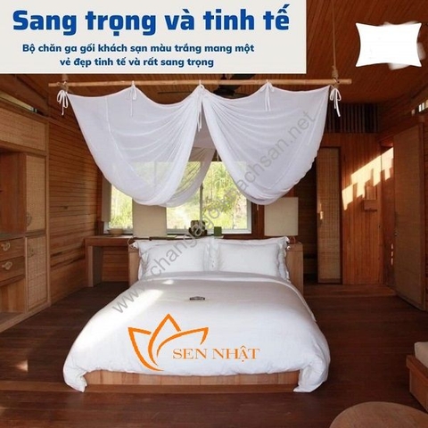 Xu hướng lựa chọn họa tiết cho chăn ga gối đệm hiện nay