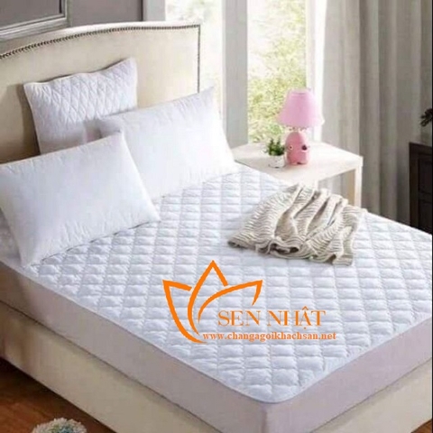 Làm sao để xử lý đệm bị mốc?