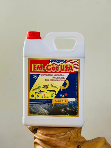 HL - EM - GỐC - USA