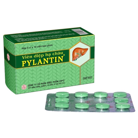 Viên diệp hạ châu PYLANTIN