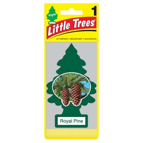 LITTLE TREES - ROYAL PINE (THÔNG THƠM HƯƠNG THÔNG)