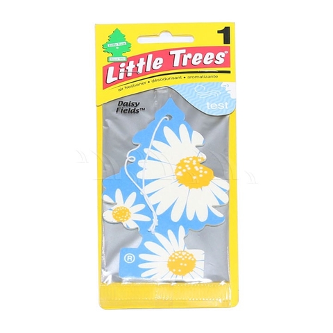 LITTLE TREES - DAISY FIELDS (THÔNG THƠM HƯƠNG HOA CÚC)