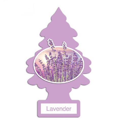 LITTLE TREES - LAVENDER (THÔNG THƠM HƯƠNG LAVENDER)