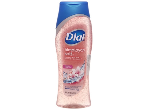 DIAL - HIMALAYAN SALT ENRICH ENRICHIR (SỮA TẮM HƯƠNG MUỐI HIMALAYAN 473ml)