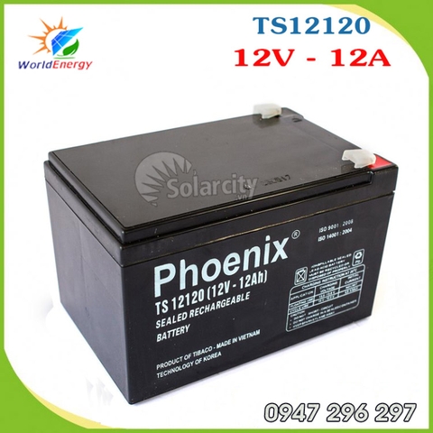 Ắc quy Phoenix 12V-12Ah (TS12120)
