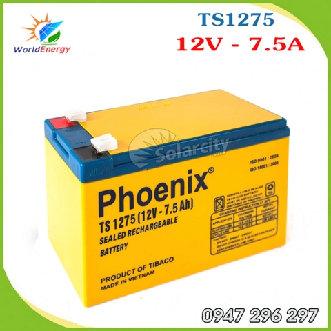 ẮC QUY PHOENIX 12V-7.5AH (TS1275) - Vàng