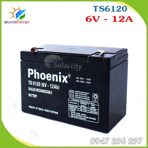 ẮC QUY PHOENIX 6V- 12AH (TS6120) cho xe điện trẻ em