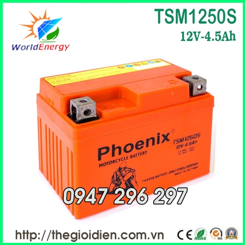 Ắc quy Phoenix 12V-4.5Ah (TSM1250S)