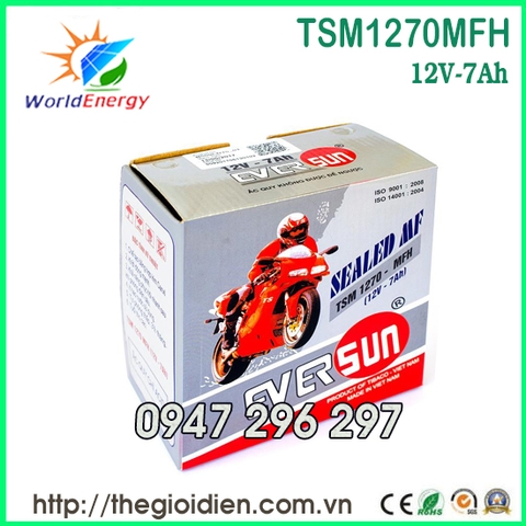 Ắc quy Eversun 12V-7Ah (TSM1270MFH)
