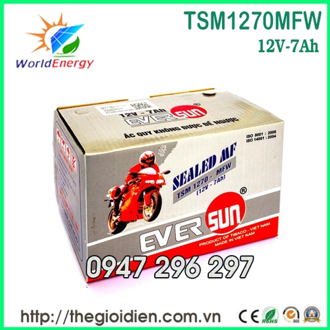 Ắc quy Eversun 12V-7Ah (TSM1270MFW)