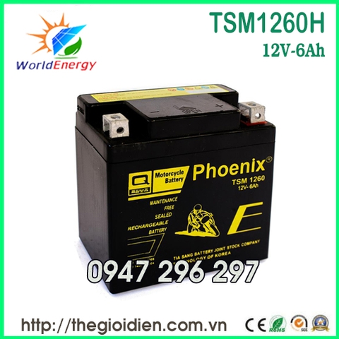 Ắc quy Phoenix 12V-6Ah (TSM1260H)