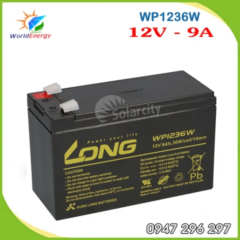 Ắc quy Long 12V-9AH (WP1236W)