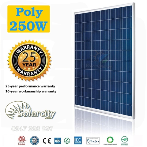 Tấm pin mặt trời Poly 250W SolarCity