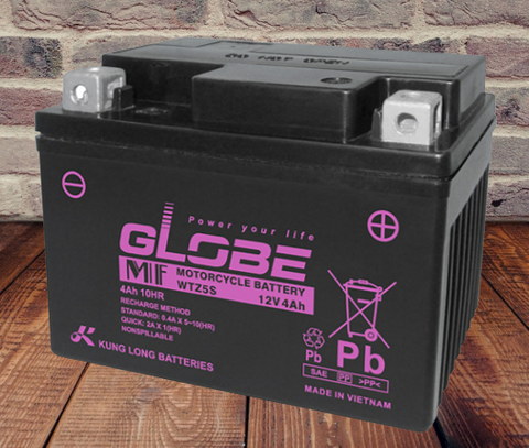 Ắc quy xe máy GLOBE 12V-4A  (WTZ5S)