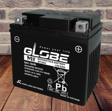 Ắc quy xe máy Globe 12V- 6Ah (WTZ6V)