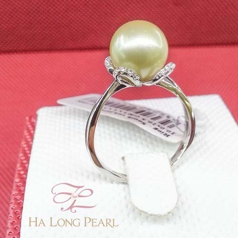 Pearl rings - South sea 63S104G016S10