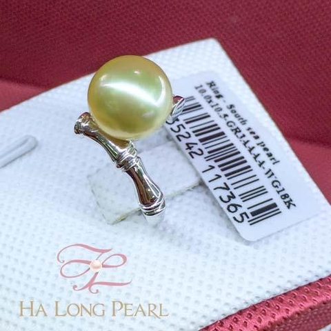 Pearl rings - South sea 63S104G023S19 (Đ.300)