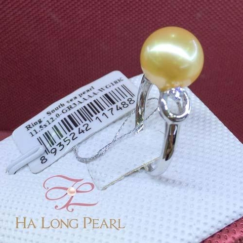 Pearl rings - South sea 63S114G011S13 (Đ.300)