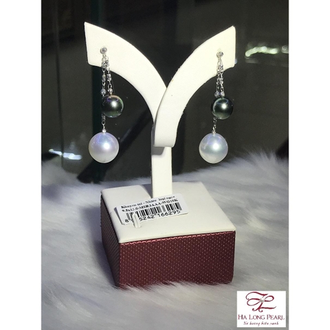 Set - South Sea and Tahiti Pearl