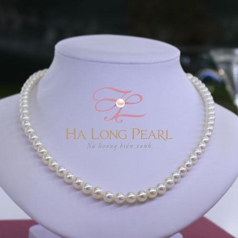 Pearl necklaces - Akoya 61A603S011