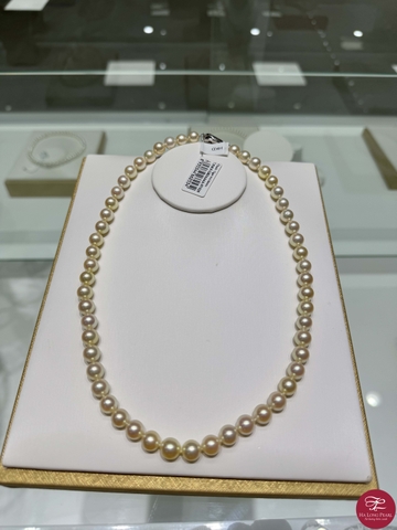 Chuỗi ngọc trai Akoya 61A754S003