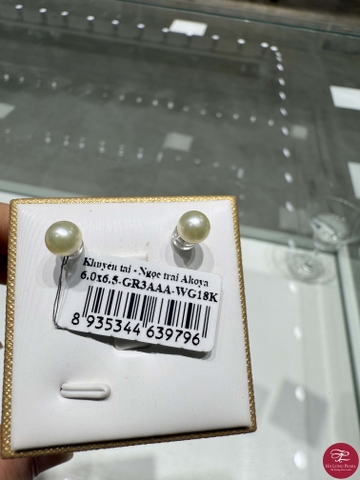 Khuyên tai ngọc trai Akoya 65A603G012