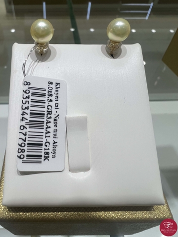 Khuyên tai ngọc trai Akoya 65A803G010