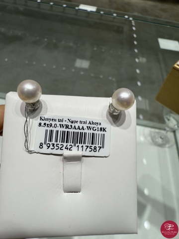 Khuyên tai ngọc trai Akoya 65A853G002