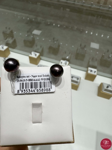 Khuyên tai ngọc trai Tahiti 65T103G006