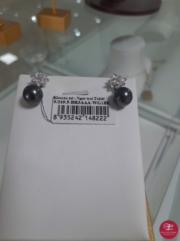 Khuyên tai ngọc trai Tahiti 66T903G001 (Đ.350)