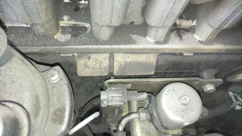 Xe nâng xăng - ga Nissan PL02A25W-005254