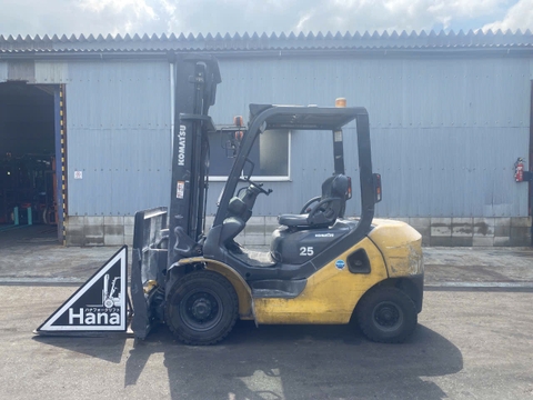 FD25T-17- 300794