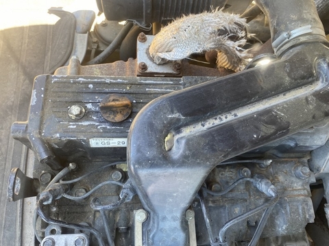 Komatsu SD15T-5-71126 lắp gầu xúc