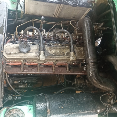 Xe nâng Misu FD50-50054