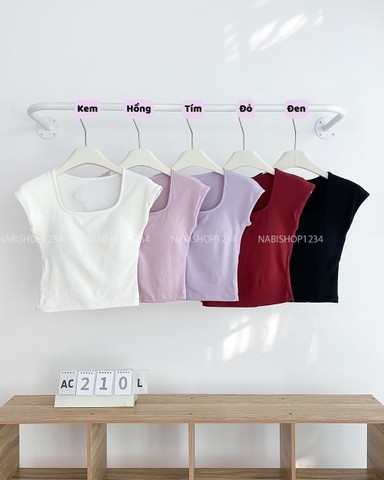 Áo Croptop Số 210-L 293 Tay Hến Cổ Vuông
