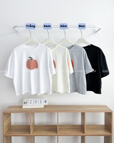 Áo Thun Số 201-D TN Bí Ngô