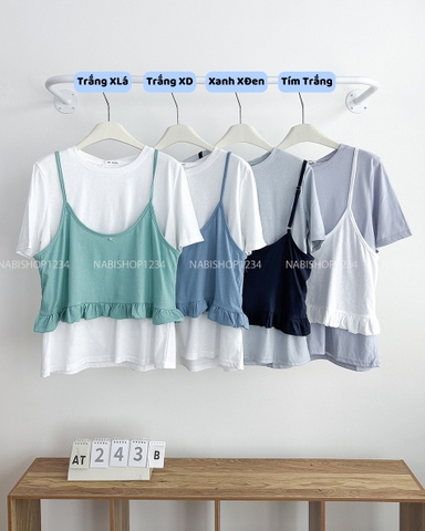 Áo Thun Số 243-B TN Trơn + 2s Bèo